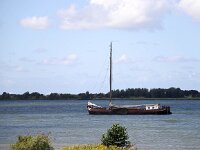NL, Zuid-Holland, Korendijk, Vuile Gat 1, Saxifraga-Bart Vastenhouw