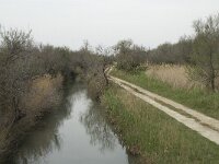F, Bouches-du-Rhone, Saintes Maries de la Mer, Parc Ornithologique 4, Saxifraga-Willem van Kruijsbergen
