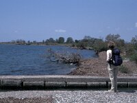 GR, Archai, Patras 4, Saxifraga-Jan van der Straaten