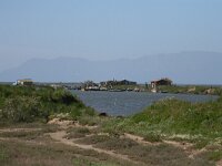 GR, Evros, Alexandroupolis, Evros Delta 68, Saxifraga-Dirk Hilbers