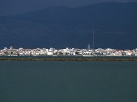 GR, Peloponnesos, Mesolonghi 5, Saxifraga-Jan van der Straaten