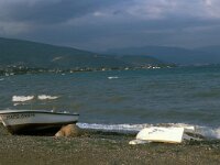 GR, Peloponnesos, Mesolonghi 9, Saxifraga-Jan van der Straaten