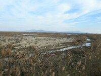 GR, Xanthi, Nea Kessani, Porto Lagos 30, Saxifraga-Dirk Hilbers