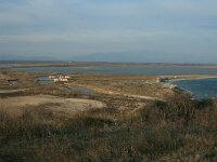 GR, Xanthi, Nea Kessani, Porto Lagos 43, Saxifraga-Dirk Hilbers