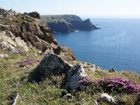 GB, Cornwall, Helston, SW Coastpath, Lizard 3, Saxifraga-Foto Fitis-Sytske Dijksen