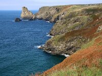 GB, Cornwall, Tintagel, SW Coastpath 1, Saxifraga-Foto Fitis-Sytske Dijksen