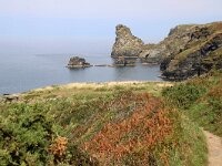 GB, Cornwall, Tintagel, SW Coastpath, Long Island 1, Saxifraga-Foto Fitis-Sytske Dijksen