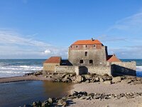 F, Pas-de-Calais, Ambleteuse 3, Saxifraga-Hans Dekker