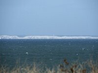 F, Pas-de-Calais, Escalles 19, Saxifraga-Willem van Kruijsbergen