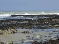 F, Seine-Maritime, Veulettes-sur-Mer 7, Saxifraga-Willem van Kruijsbergen