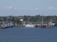 D, Schleswig-Holstein, Kiel 20, Saxifraga-Willem van Kruijsbergen