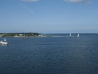 D, Schleswig-Holstein, Kiel 36, Saxifraga-Annemiek Bouwman