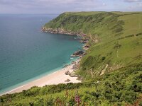 GB, Cornwall, Lansallos, Lantic Bay 1, Saxifraga-Foto Fitis- Sytske Dijksen