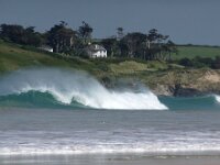 GB, Cornwall, Padstow 10, Saxifraga-Foto Fitis- Sytske Dijksen