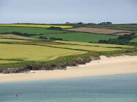 GB, Cornwall, Padstow 15, Saxifraga-Foto Fitis- Sytske Dijksen