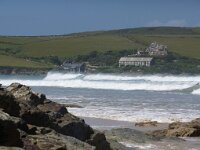 GB, Cornwall, Padstow, Gun Point 1, Saxifraga-Foto Fitis- Sytske Dijksen