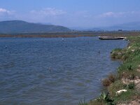 GR, Arta, Koronisia 2, Saxifraga-Jan van der Straaten