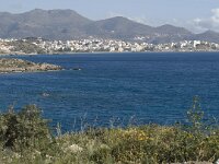 GR, Crete, Lasithi, Agios Nikolaos 6, Saxifraga-Jan van der Straaten