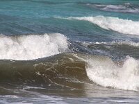 GR, Ionia Nisia, Kefalonia 21, Saxifraga-Foto Fitis-Sytske Dijksen