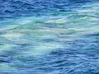 GR, Ionia Nisia, Lefkas 30, Saxifraga-Foto Fitis-Sytske Dijksen