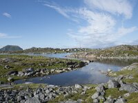 N, Finnmark, Nordkapp, Gjesvaer 47, Saxifraga-Willem van Kruijsbergen