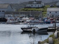 N, Finnmark, Nordkapp, Gjesvaer 5, Saxifraga-Willem van Kruijsbergen