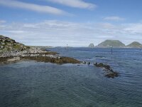 N, Finnmark, Nordkapp, Gjesvaer 9, Saxifraga-Willem van Kruijsbergen