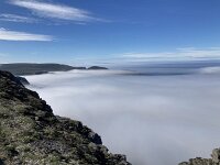 N, Finnmark, Nordkapp, Nordkapp 11, Saxifraga-Willem van Kruijsbergen