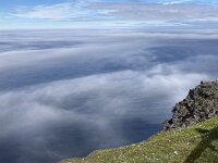N, Finnmark, Nordkapp, Nordkapp 2, Saxifraga-Willem van Kruijsbergen