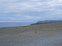 N, Finnmark, Nordkapp, Nordkapp 49, Saxifraga-Willem van Kruijsbergen