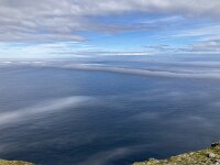 N, Finnmark, Nordkapp, Nordkapp 5, Saxifraga-Willem van Kruijsbergen