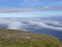 N, Finnmark, Nordkapp, Nordkapp 6, Saxifraga-Willem van Kruijsbergen