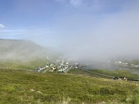 N, Finnmark, Nordkapp, Skarsvag 2, Saxifraga-Willem van Kruijsbergen