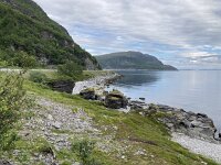 N, Finnmark, Porsanger, Russenes 3, Saxifraga-Willem van Kruijsbergen