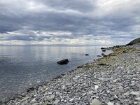 N, Finnmark, Porsanger, Russenes 4, Saxifraga-Willem van Kruijsbergen