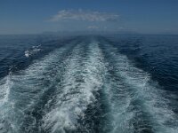 N, Innlandet, Moskenes 16, Saxifraga-Marijke Verhagen