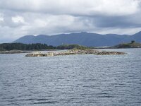 N, Nordland, Alstahaug, Tjotta 26, Saxifraga-Willem van Kruijsbergen