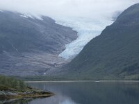 N, Nordland, Meloy, Svartisen 55, Saxifraga-Willem van Kruijsbergen