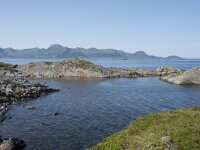 N, Nordland, Oksnes, Gisloya 36, Saxifraga-Willem van Kruijsbergen