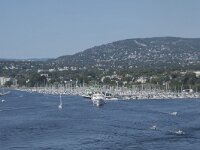 N, Oslo, Oslo 10, Saxifraga-Willem van Kruijsbergen