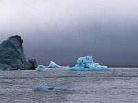 N, Spitsbergen, Burgerbukta 7, Saxifraga-Bart Vastenhouw