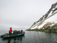 N, Spitsbergen, Fuglesangen 27, Saxifraga-Bart Vastenhouw