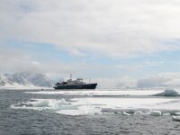 N, Spitsbergen, Fuglesangen 31, Saxifraga-Bart Vastenhouw