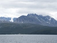 N, Troms, Lyngen 2, Saxifraga-Willem van Kruijsbergen