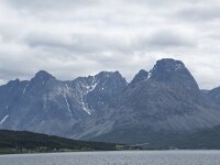 N, Troms, Lyngen 3, Saxifraga-Willem van Kruijsbergen