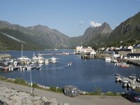 N, Troms, Senja, Gryllefjorden 1, Saxifraga-Willem van Kruijsbergen