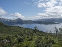 N, Troms, Senja, Skaland, Sommardalen 11, Saxifraga-Willem van Kruijsbergen
