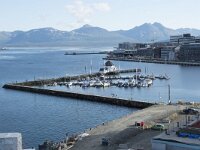 N, Troms, Tromso 3, Saxifraga-Willem van Kruijsbergen