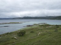 N, Troms, Tromso, Sommaroy 24, Saxifraga-Willem van Kruijsbergen