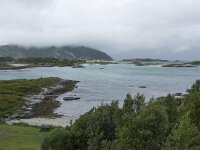 N, Troms, Tromso, Sommaroy 28, Saxifraga-Willem van Kruijsbergen